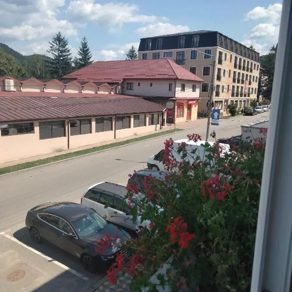 Apartament Geo, hotel en Nehoiu
