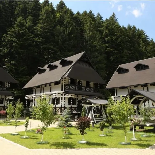 Complex Lions Bucovina, hotel a Voronet