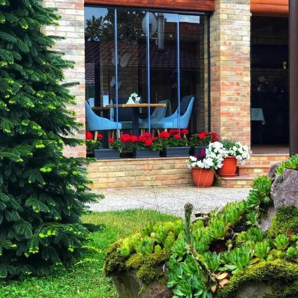Villa Diva, hotel v destinaci Budureasa
