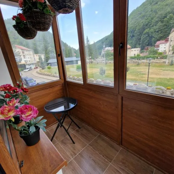 Apartment Slanic moldova, hotell sihtkohas Slănic-Moldova