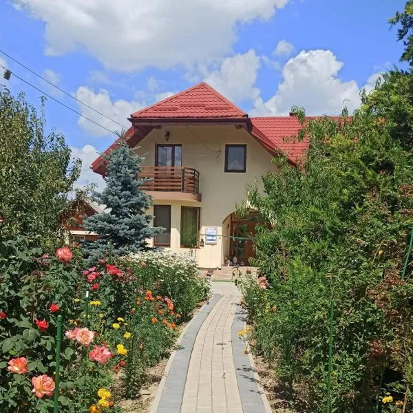Agropensiunea Florina-Maria, hotel in Braniştea