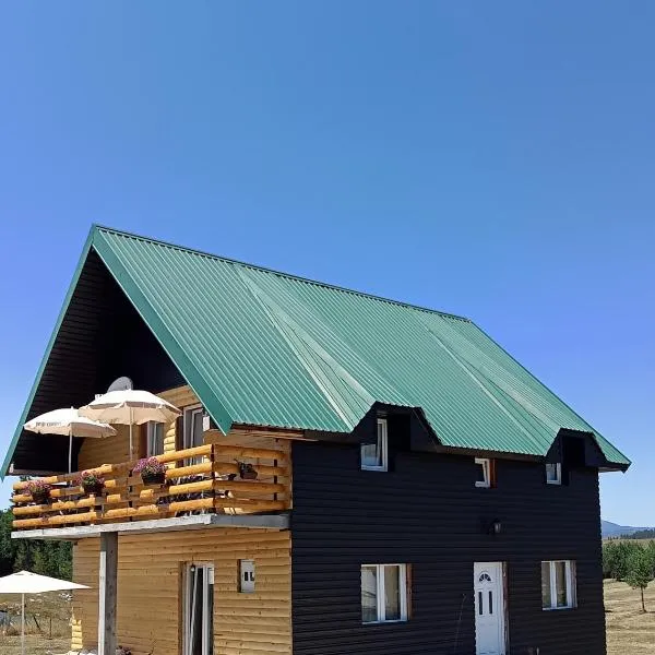 Vila Danida, hotel in Žabljak