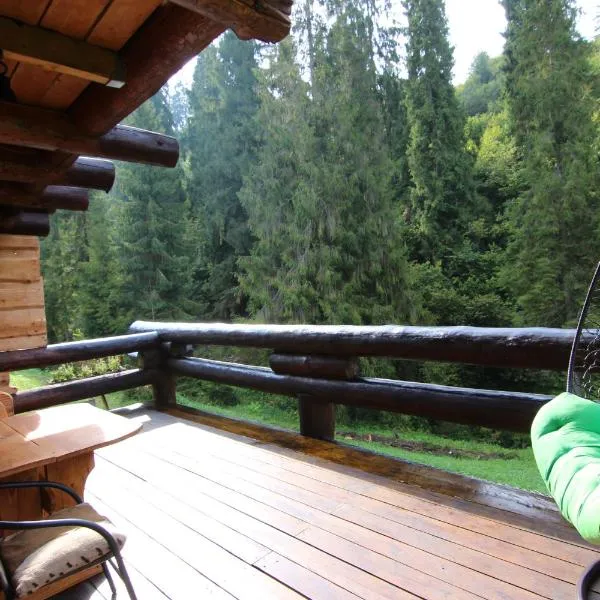 Bungalow in mauntains with chan near the forest, hotel u gradu Slavske