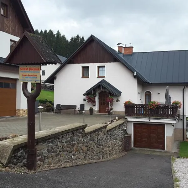 APARTMÁNY - Pacholik, Hotel in Rokytnice nad Jizerou