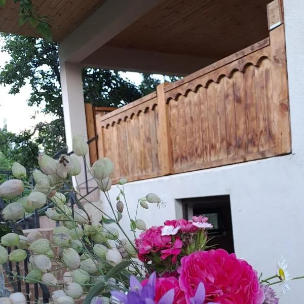 Irina's Guesthouse, ξενοδοχείο στη Μέστια