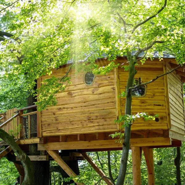 Stromodomek Vlčková, hotel in Zlín