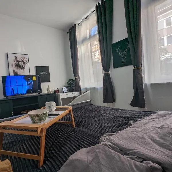 Schönes Appartment im Zentrum von Koblenz II, hotel v Koblenci