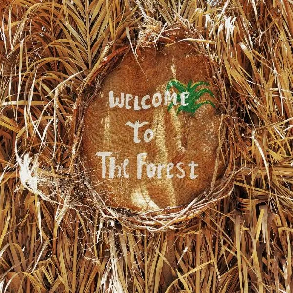 Forest Camp Siwa - كامب الغابة, hotel in Siwa