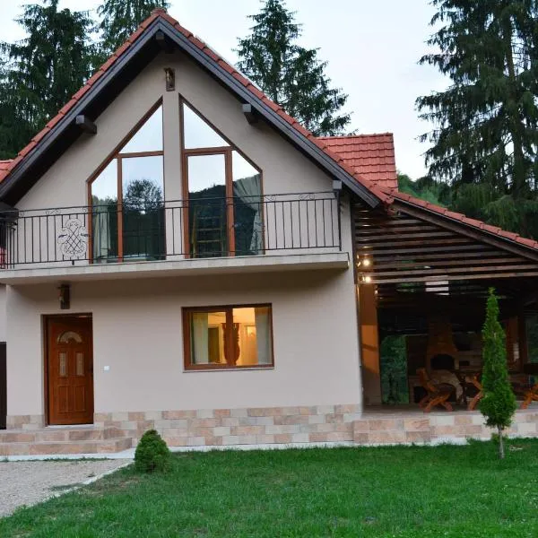 cabana din padure, hotel in Finiş