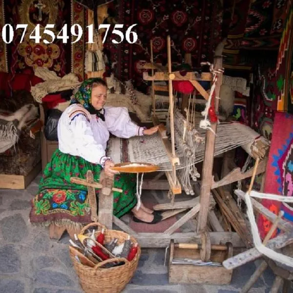 ILEANA Săpânța, Hotel in Săpânța