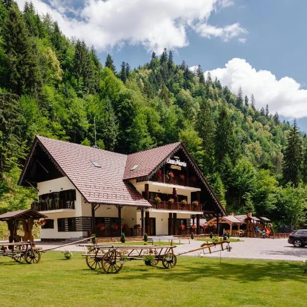 Pensiune&Restaurant Casa Maria, Hotel in Rodna