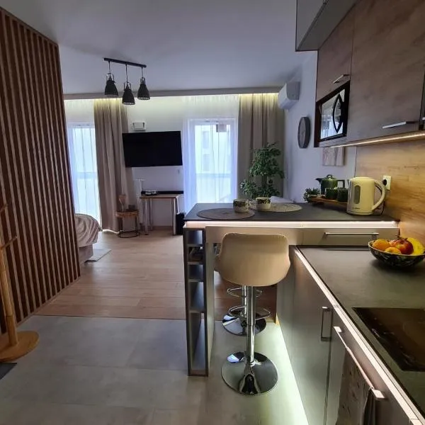 Malta Delux Apartment, free parking, self check-in 24h, air-conditioning, hotel v Poznani