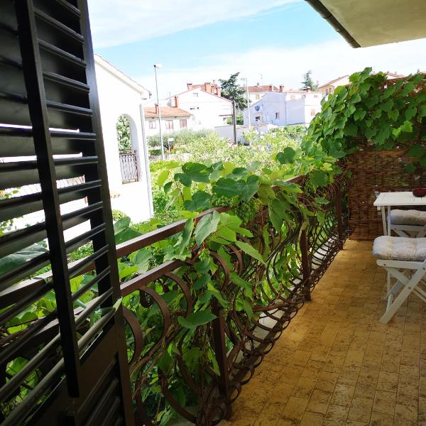 Apartment Maximilian #2