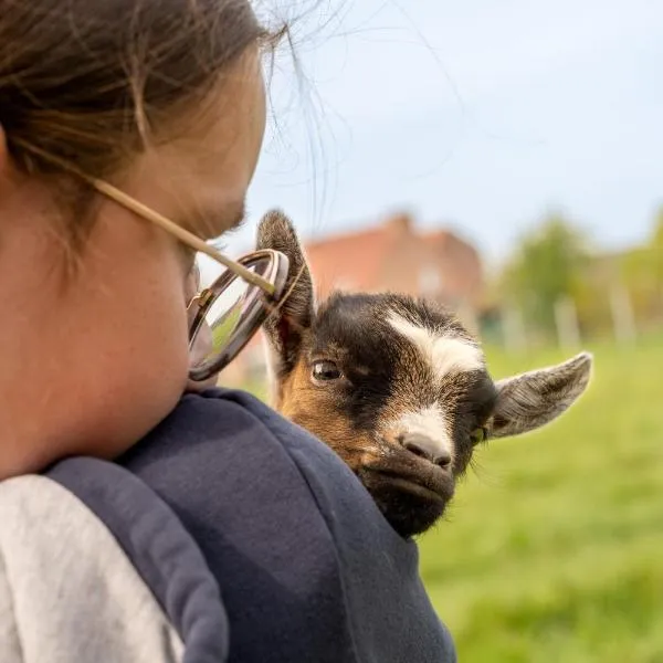 Logements insolites à la ferme - Yourte, Kota ou Pod、Farbusのホテル