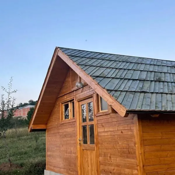 Brvnara Krin 1, hotel in Nova Varoš