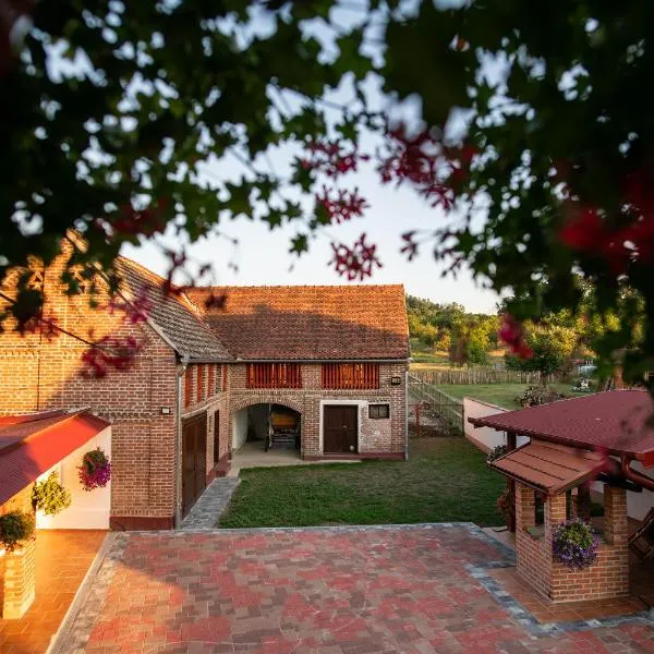 Salaš 318 - B&B Farm Experience, hotel in Drenovac