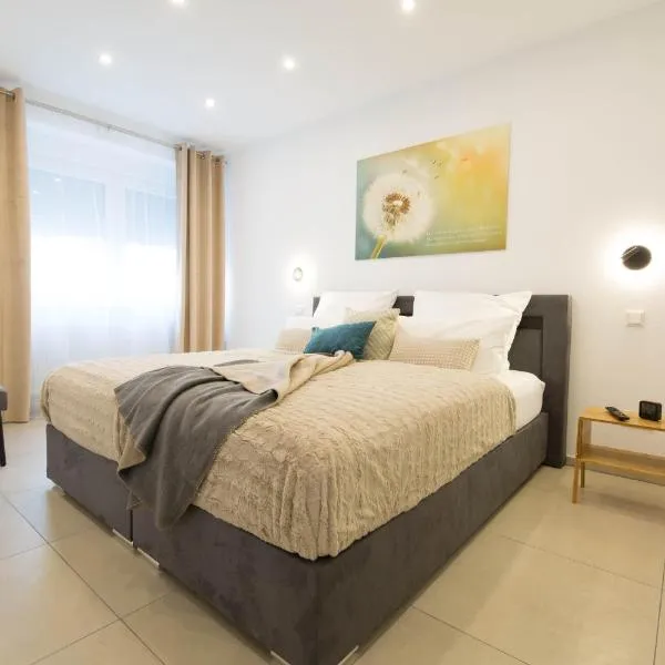 Luxury Saarbrücken 2, hotel in Saarbrücken