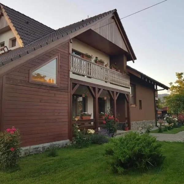 Pensiunea Rares, hotel in Bistriţa Bîrgăului