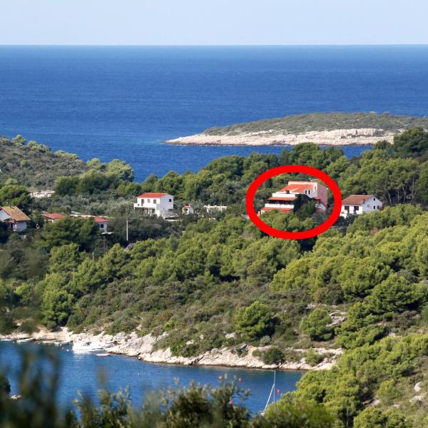 Family friendly apartments with a swimming pool Maslinica, Solta - 5180