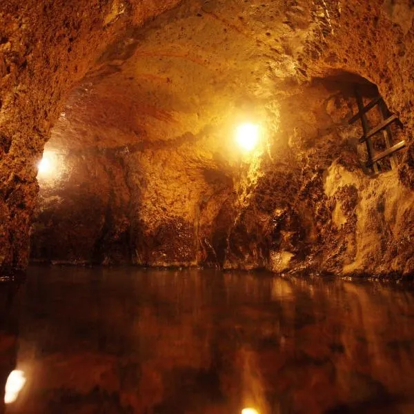 Kurokawa Onsen Yama no Yado Shinmeikan, ξενοδοχείο σε Minamioguni
