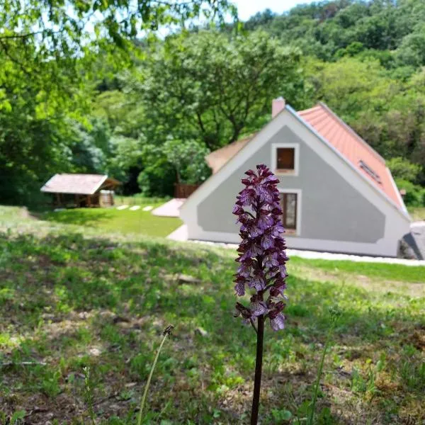 Kosbor Vendégház, hotel in Monoszló