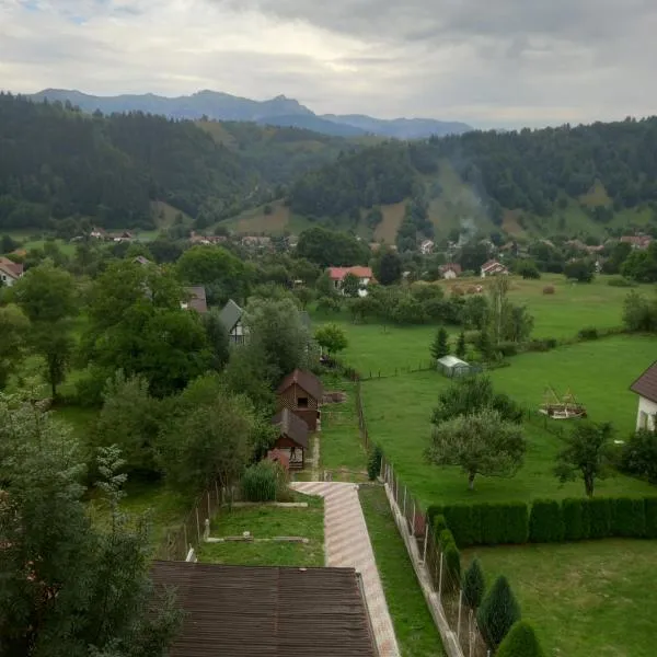 Pensiunea Brian, hotel Alsómoécsen