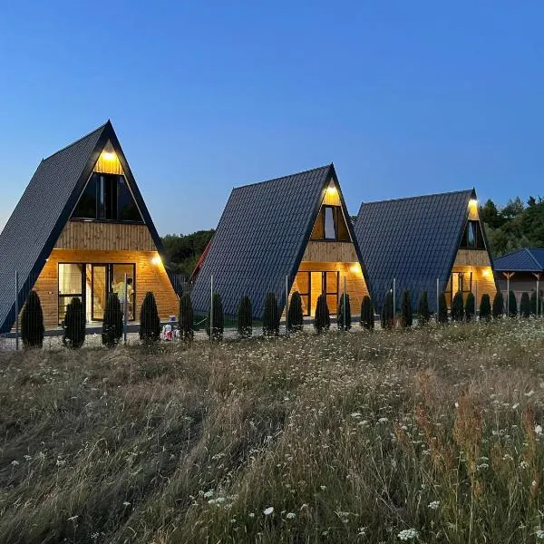 Liniștea Muntilor Cartioasra, hotel in Cîrţişoara