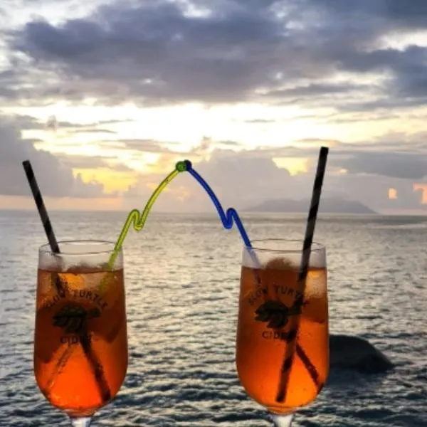 Belombre River Villa, hotel v destinaci Bel Ombre