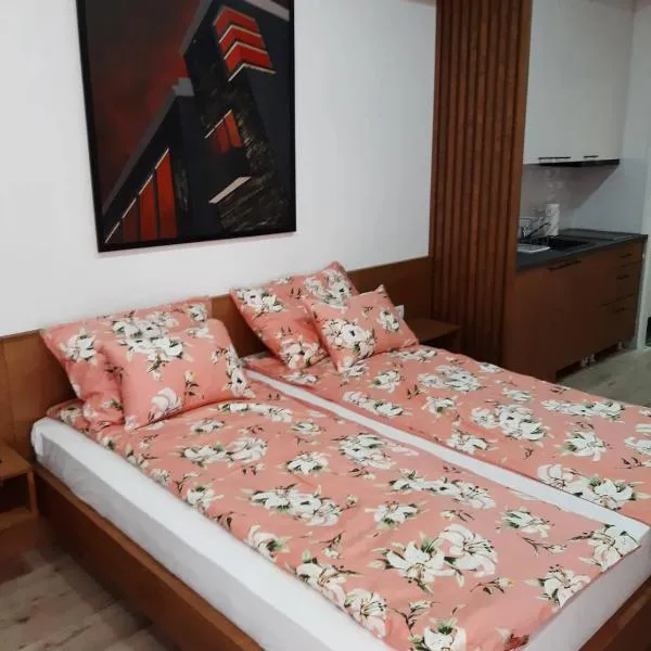 Apartment Mašić, ξενοδοχείο σε Sombor