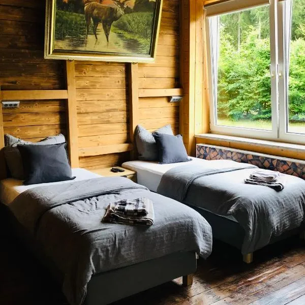 Ruhige Ferienwohnung direkt am Rennsteig, hotel in Igelshieb