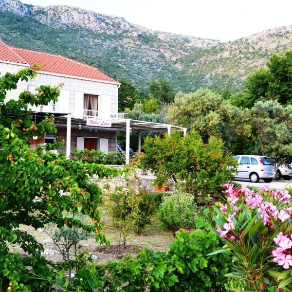 Apartments with a parking space Brsecine, Dubrovnik - 8548