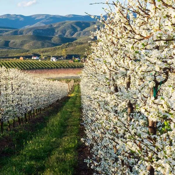 Scheepers Rust Guest Farmhouse, Hotel in Montagu
