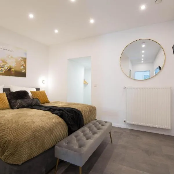 Luxury Saarbrücken 1, hotel in Saarbrücken