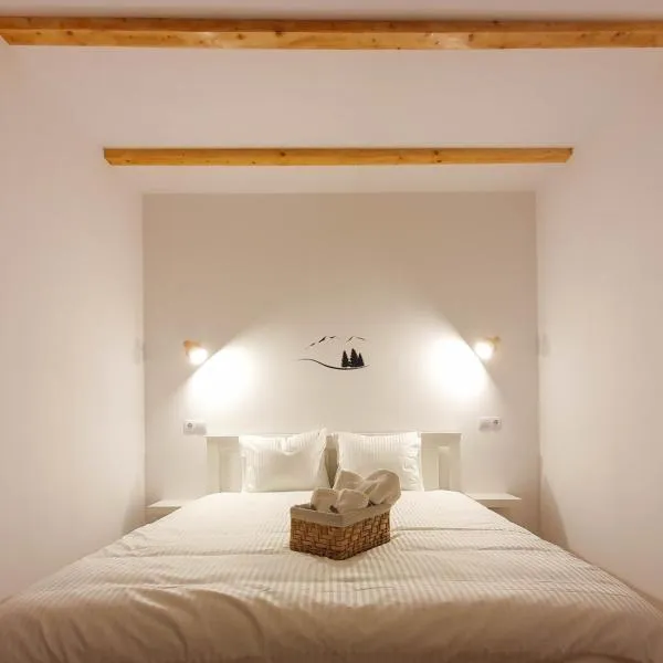 Domeniul Acasa in Vadu Izei Maramu, hotel in Vadu Izei