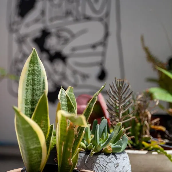 MeMeraki Artist Residency, ξενοδοχείο στη Λεμεσό