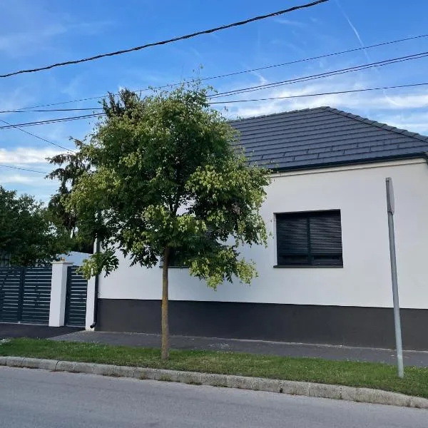 D 20 Apartmanház Zalaegerszeg Dózsa György utca 20, hotell sihtkohas Zalaegerszeg