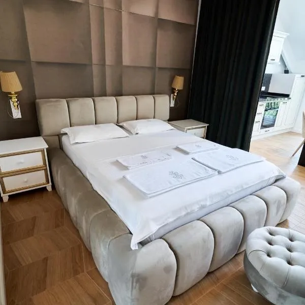 Studio Carolyne Bistrita, hotel in Bistriţa