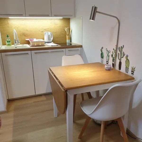 Apartmaji Pri Medvedu Studio Rudnica, hotel a Bohinj