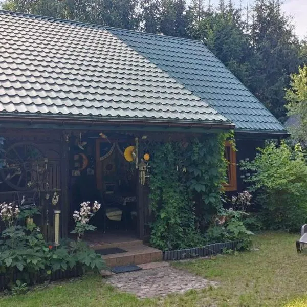 Domek całoroczny u Zosi, hotel in Ptaki