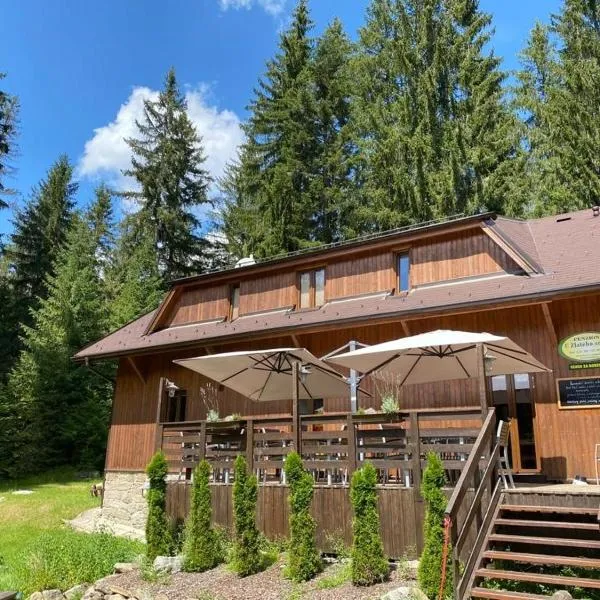 Penzion U Zlatého srnce, hotel v Srní