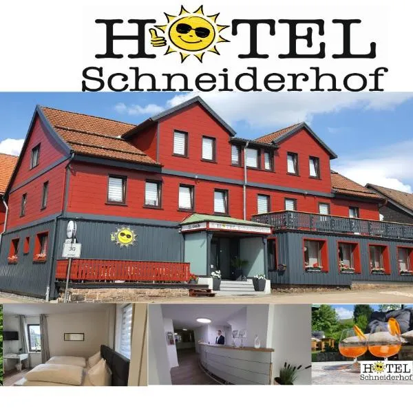 Hotel Schneiderhof，位于布劳恩拉格的酒店