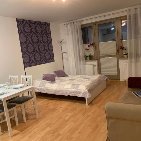 Apartament Zdrojowa