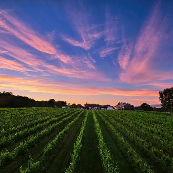 Llanerch Vineyard Hotel, hotel in Hensol