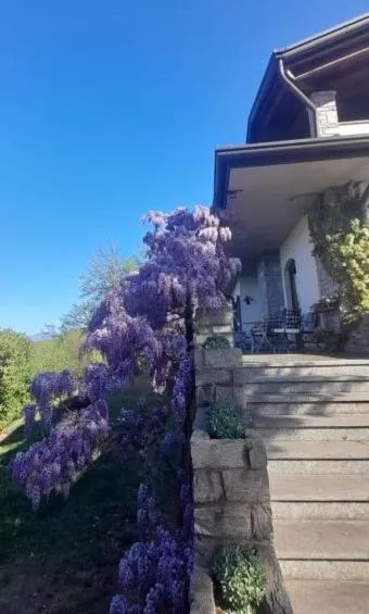 Al Picchio Verde A.P.S., hotel v destinaci Cunardo