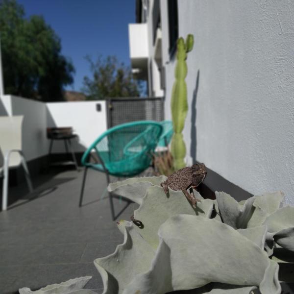 PiedraNegra, apartamento completo con patio, terraza y BBQ