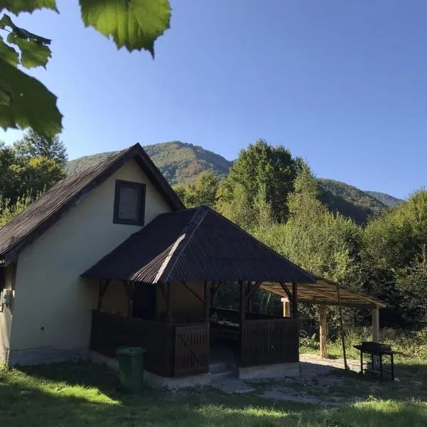 Roua - Apuseni Mountains, ξενοδοχείο σε Pietroasa