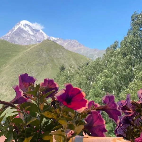 Hotel Elegant, hotelli kohteessa Kazbegi