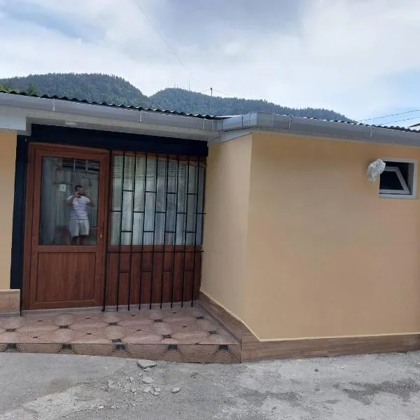 Davids entire place, hotel in Borjomi