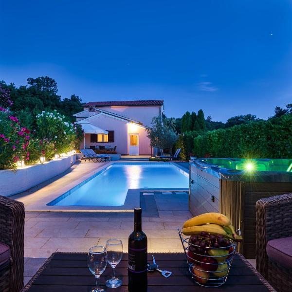 Holiday house with a swimming pool Ripenda, Labin - 12038