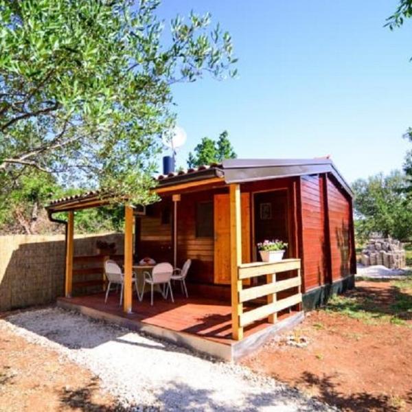 Seaside secluded apartments Biograd na Moru, Biograd - 12827